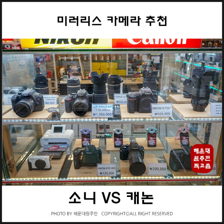  소니6000 vs 캐논, 미러리스 카메라 추천 해주네요