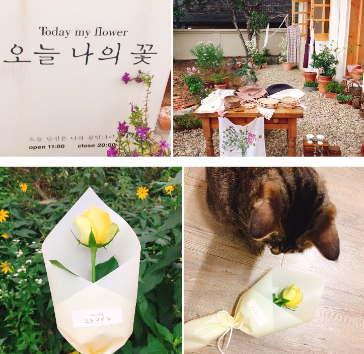  전주꽃집 오늘나의꽃  셀프 힐링타임 노란장미한송이