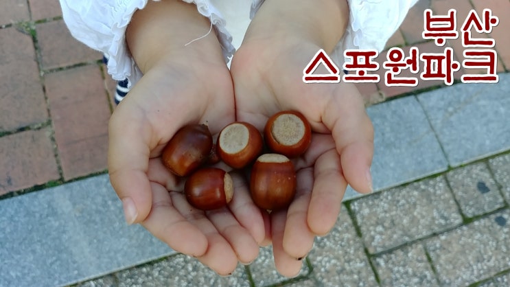  부산 스포원파크 가을 즐기기, 낙엽소리 도토리찾기