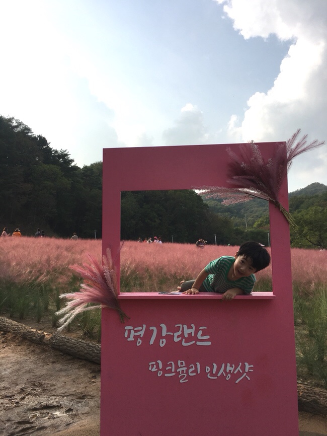  아이와 갈만한 곳 - 포천 평강랜드 2