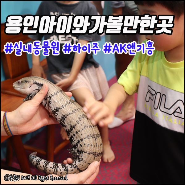  용인 아이와 가볼만한곳 AK&기흥 실내동물원 하이주!