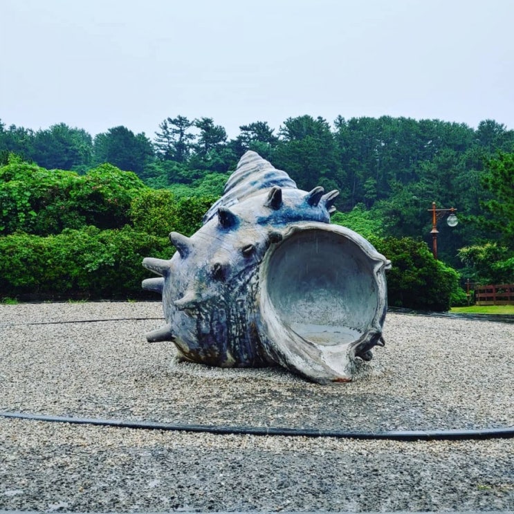  [제주도] 1박2일여행 둘째날 이호테우항 아침식사 - 목마등대 - 항몽유적지 - 중문면세점 - 주상절리- 동문시장 회사기 - 제주시 맛집 도남오거리 식당