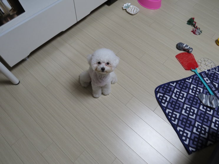  !!화순 나들이~ 수만리커피(애견동반카페)!!