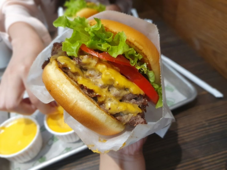  [강남/햄버거] 쉐이크쉑
