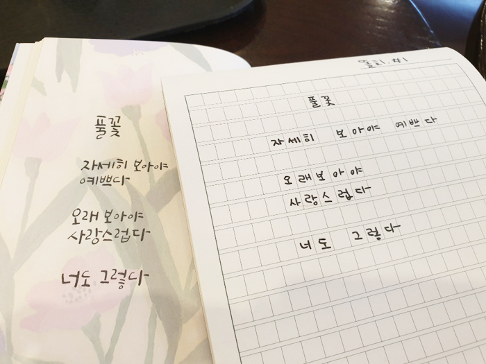  필사 1Day : 풀꽃