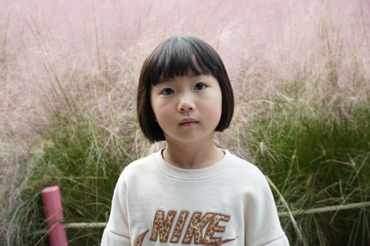 6살 일상 : 울산대공원 핑크뮬리