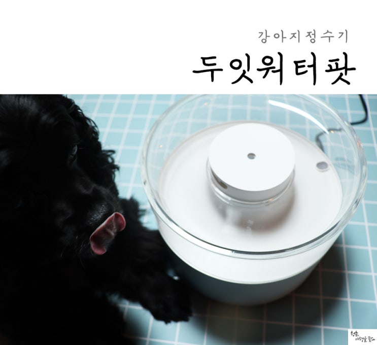 강아지정수기 두잇 워터팟 새로워짐 ~!