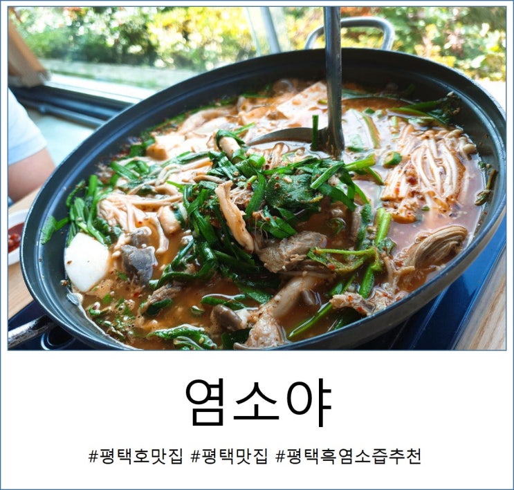  평택호 맛집 흑염소중탕 염소야에서 보양식 솔직 후기!