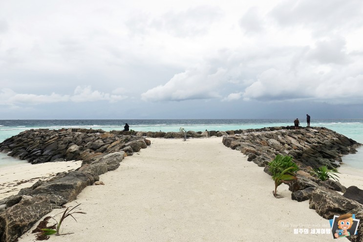 몰디브 로컬섬 '마푸시 섬(Maafushi)' 아침 해변 즐기기