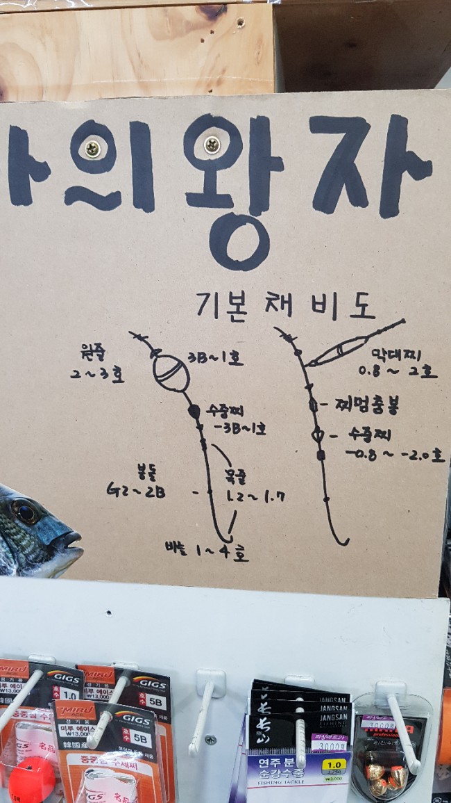  거제도 낚시 이번에는 실패다