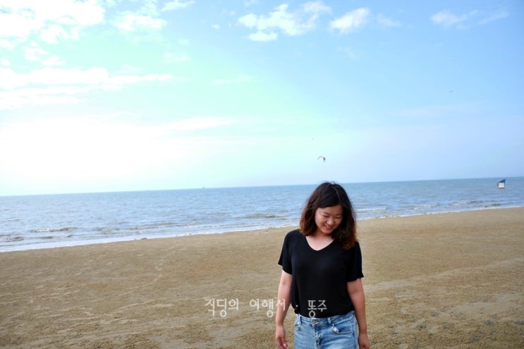  충남 여행지 추천 장항스카이워크 + 장항송림산림욕장
