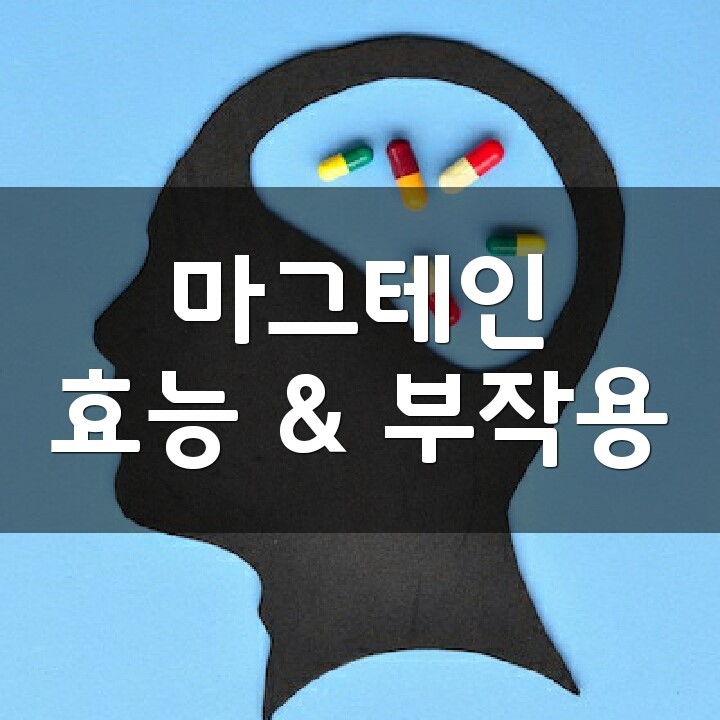  트레온산 마그네슘 (Magnesium Threonate, 마그테인) 효능, 부작용, 권장량, 제품 순위