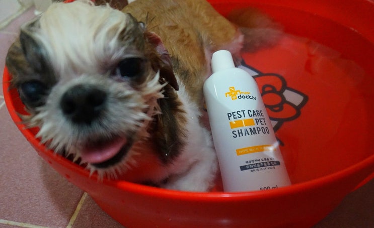  [강아지 약용샴푸} 비타민 향기에 취하는 마이펫닥터 펫 샴푸로 일주일 내내 향기롭게~