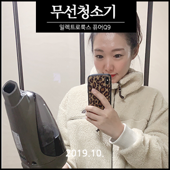  일렉트로룩스 퓨어 Q9 무선청소기로 셀프세차 도전!