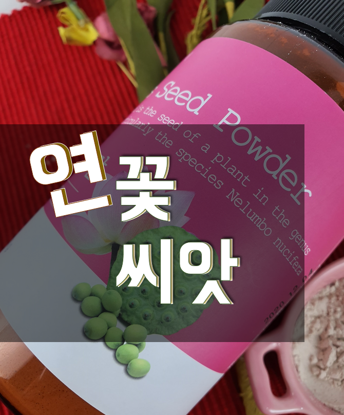  연꽃 씨앗, 효능과 먹는법 알아봐요!