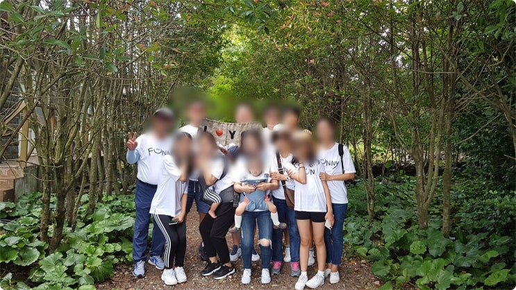  제주도미니버스렌트 행복한추억 만들기