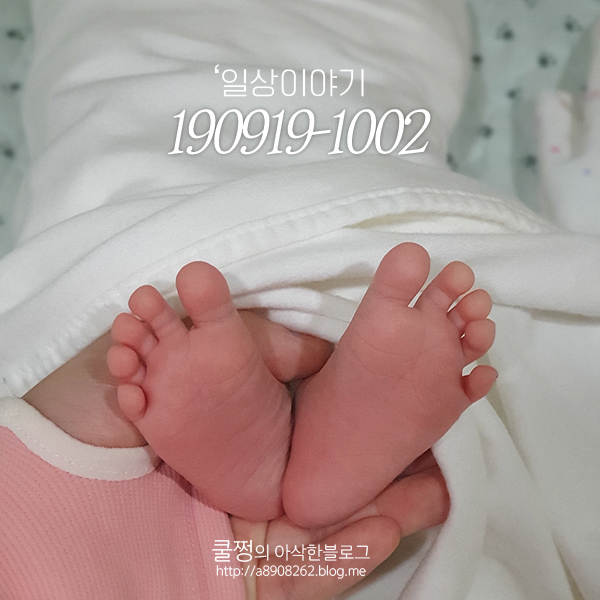  일상/190919-1002# 병원 퇴원 후 조리원 일상 / 밥젖젖간식젖젖ㅎ_ㅎ / 뽀니 출생신고 / 매일 변해가는 울아기 얼굴 -쿨쩡