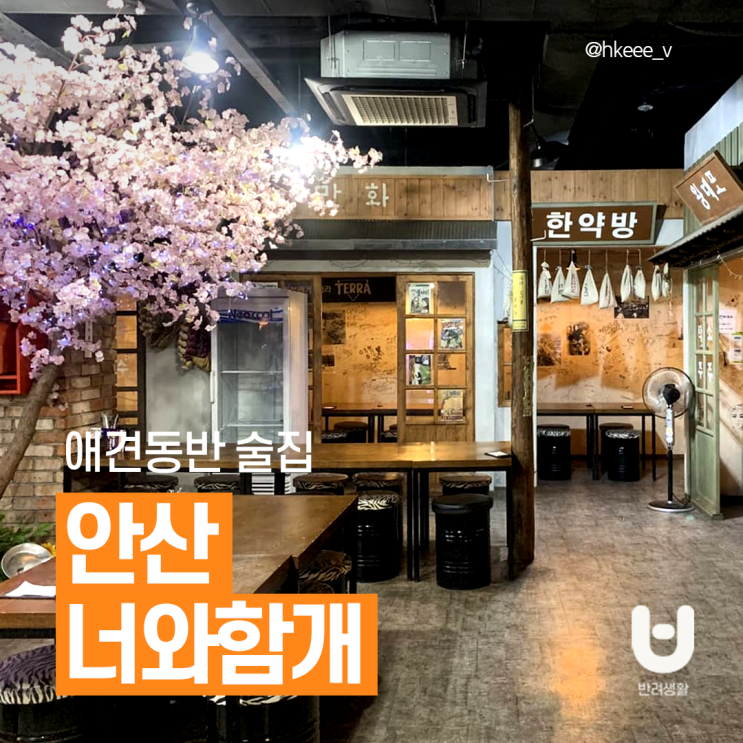 안산 애견동반 술집 <너와함개> 이색 컨셉, 데이트 장소로도 추천! 안산 애견동반 술집 <너와함개> 이색 컨셉, 데이트 장소로도 추천!