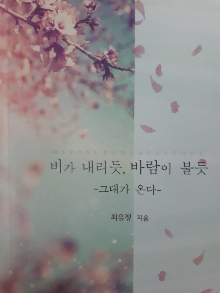  <비가 내리듯, 바람이 불듯> 최유정님
