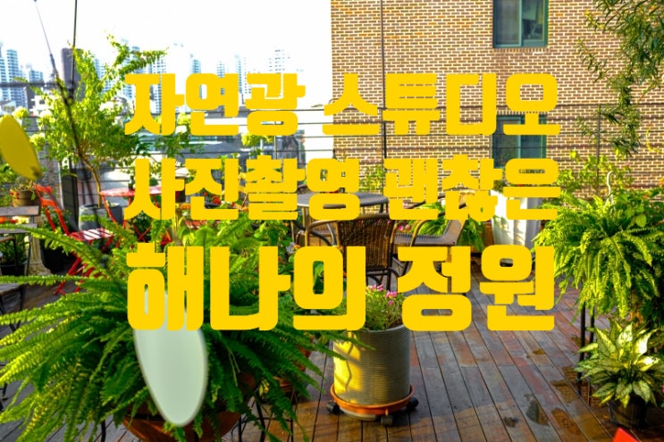  서래마을 자연광스튜디오, 사진촬영 가능한 루프탑 해나의 정원