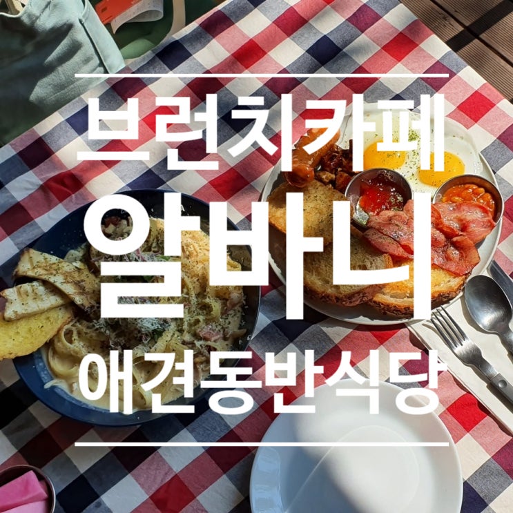 운정 애견동반식당, 화사한 야외 테라스가 있는 브런치카페 '알바니'