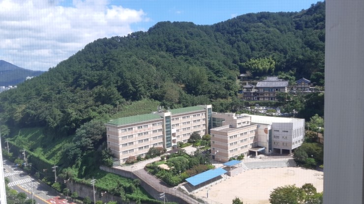  <개인산행>19.9.13(금)반여동 장산,,,,,신동아@~낙타봉능선~갈림길~억새밭~정상~갈림길~주봉~풍산