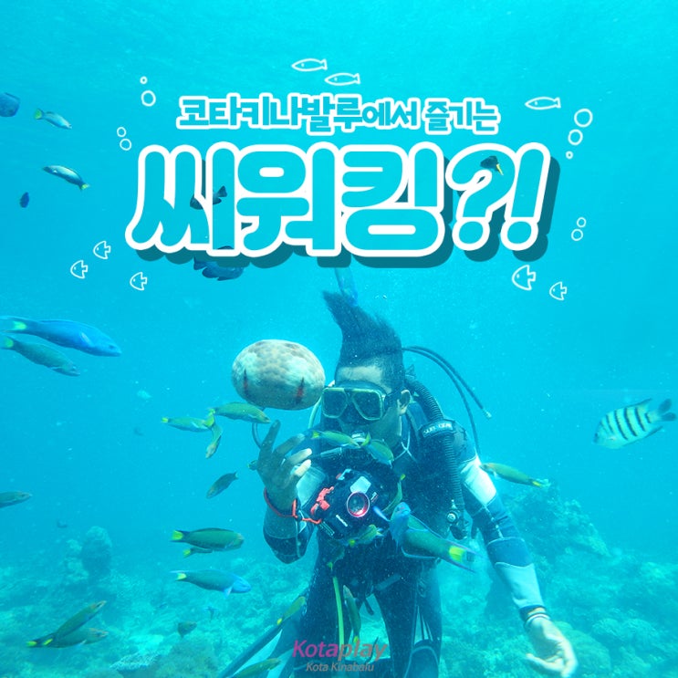  코타키나발루스노클링 :: 맑은 바닷속 산책 코타키나발루씨워킹 대박이에요!