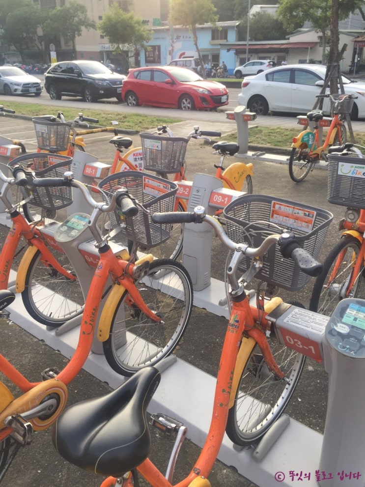  [태국 대만 혼자 여행] 타이페이 ubike 유바이크 신용카드로 대여하기