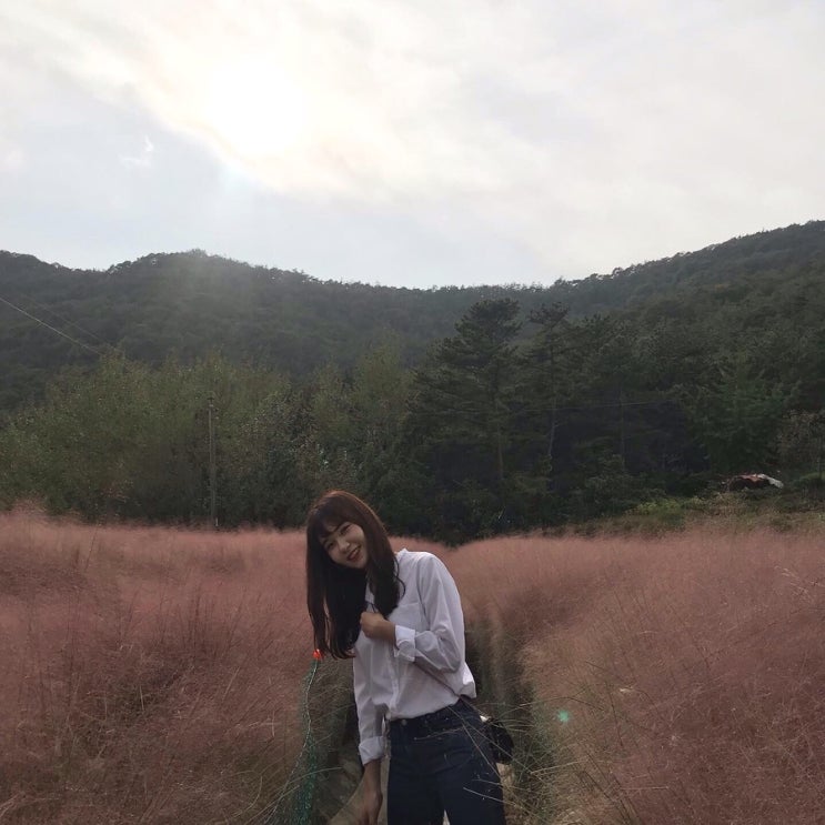  가을 즐기며 워라벨 맞추기