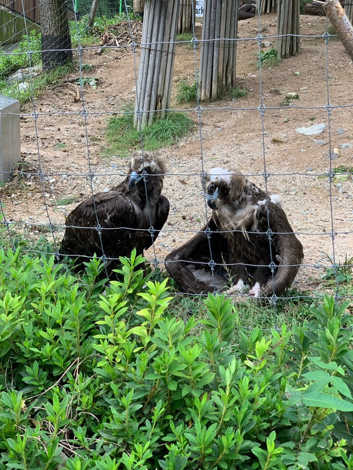 부산의 동물원