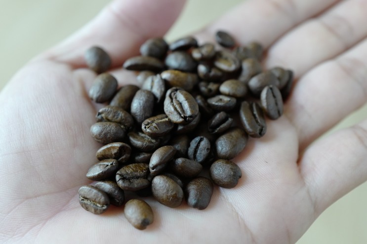 프리미엄 원두 커피 [커피만들기] 케냐산 최고급원두 커피