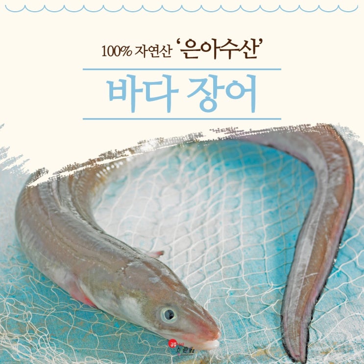  믿을 수 있는 산지의 신선함! 은아수산 바다장어