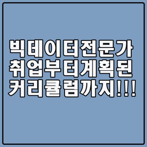  빅데이터 전문가 공부 다 똑같이 준비하면 될까?