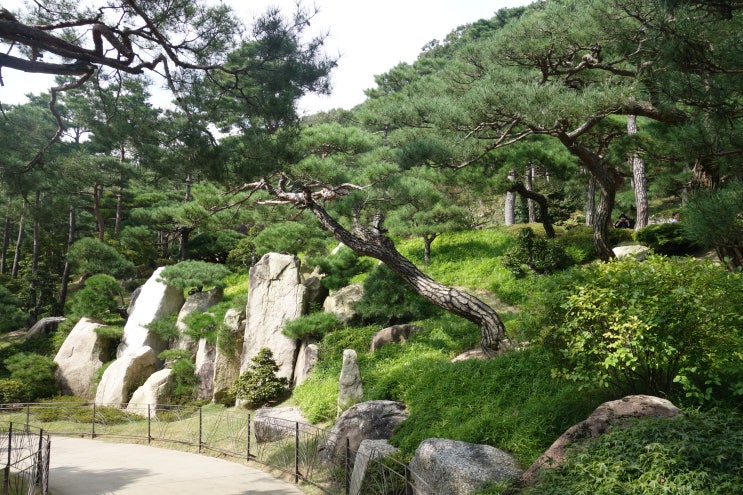  곤지암 화담숲 후기. 부모님과 함께 낭만적인 단풍 산책을 즐겨보세요.