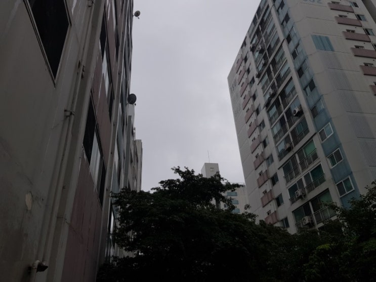  노원구 공릉동 청솔아파트 베란다 누수탐지