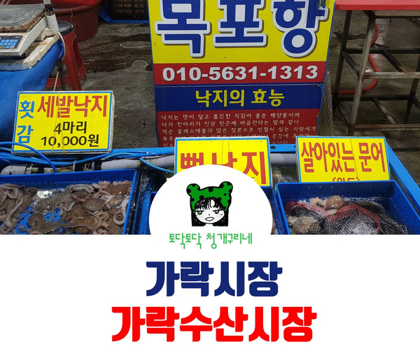  가락시장 회만 드세요? 생선이 얼마나 싼데요