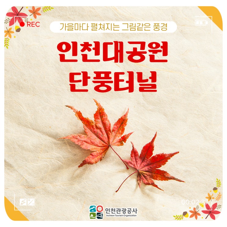  가을마다 펼쳐지는 그림같은 풍경 인천대공원 단풍터널  여행, 국내여행, 여행지추천, 가을여행, 단풍