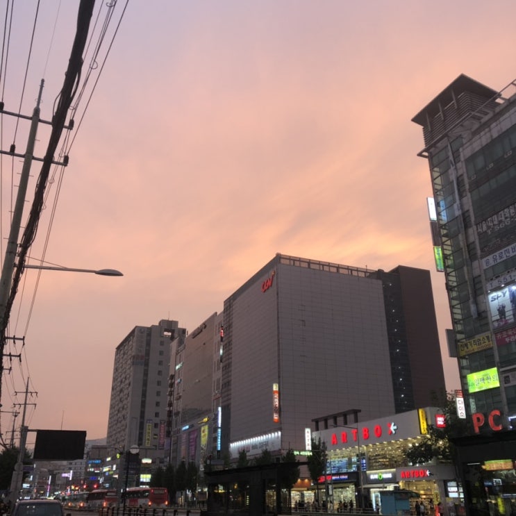  2019.09. 일상 기록 / 네이버 메인등극 / 잘먹고 잘다닌 일상 / 서울여행 경복궁