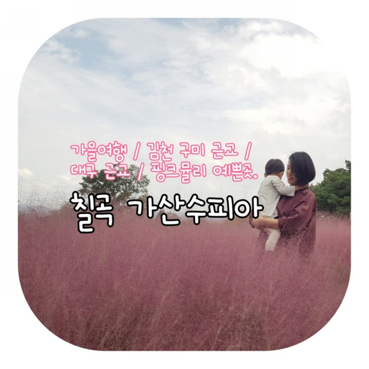  핑크뮬리 / 가을에 나들이 가기 좋은 칠곡 가산수피아 /구미근교 / 대구근교 / 가산수피아 이용요금 & 이용방법.
