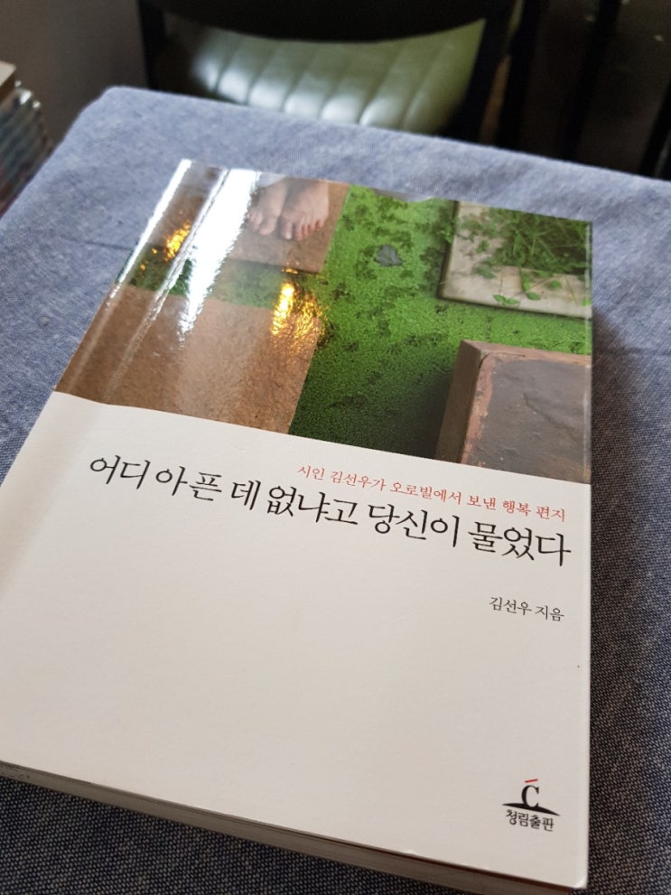  어디 아픈 데 없냐고 당신이 물었다...김선우 지음