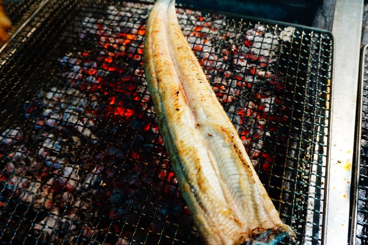  용인 장어 맛집 훌륭하다고 소문났어!