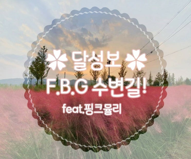  [대구주말나들이] 대구 근교에서 핑크뮬리 인생샷 남기고 싶은 사람? '달성보 수변길' 추천~!