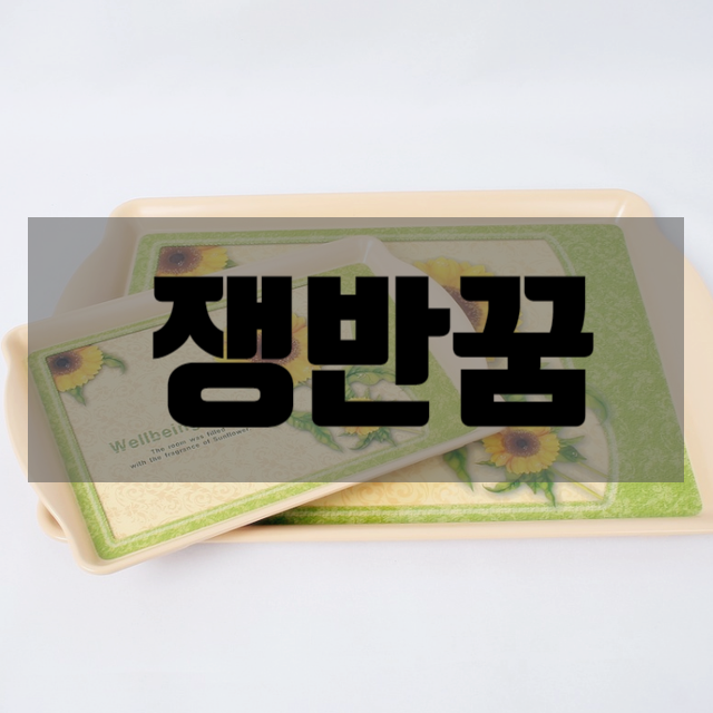 쟁반꿈 쟁반꿈