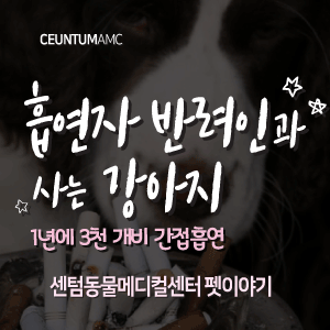  [동물뉴스]흡연자 반려인과 사는 강아지는 1년에 3천 개비 간접흡연(부산분과전문동물병원, 365일연중무휴)