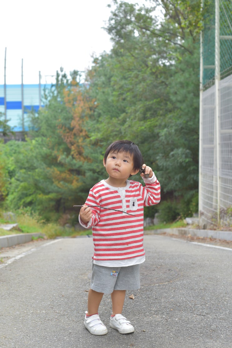  10월 5일과 6일 기록