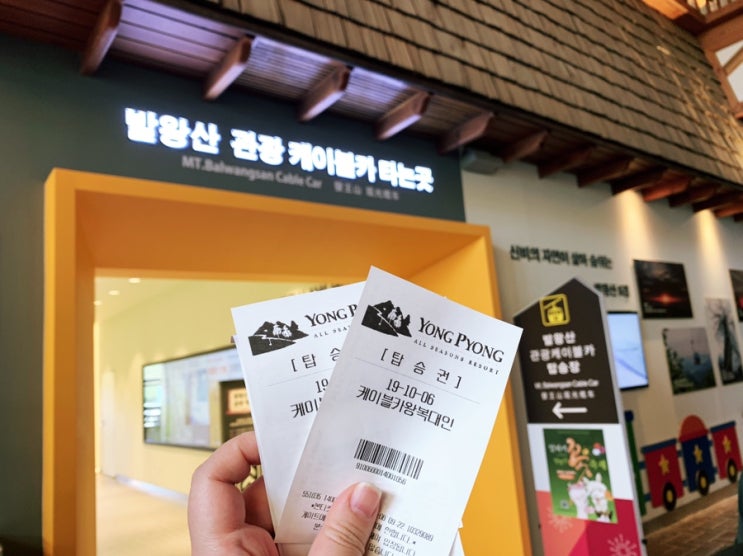  용평리조트 발왕산 관광 케이블카 일요일에 탄 이야기
