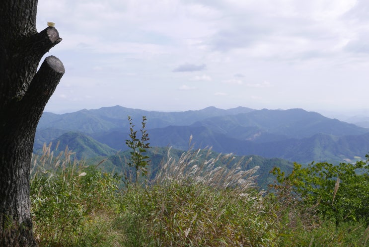   구학산[九鶴山] 983m