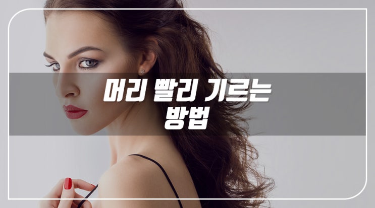  [강남역미용실] 머리 빨리 기르는 방법