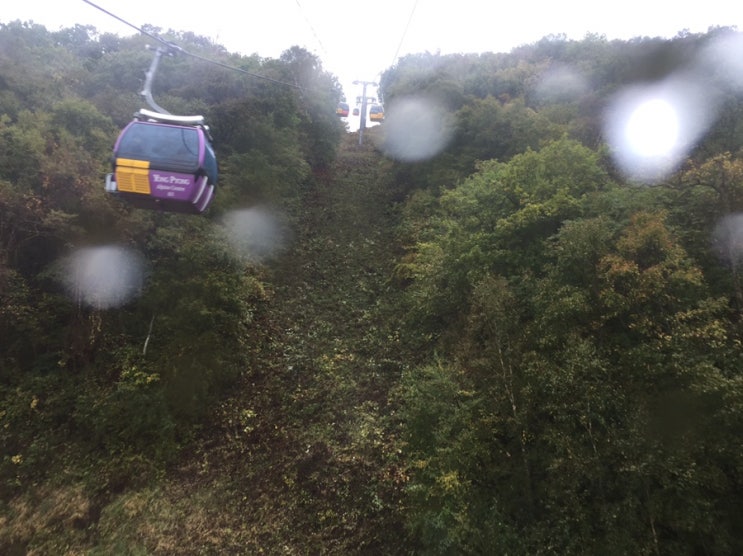  오대산여행_발왕산케이블카_용평리조트