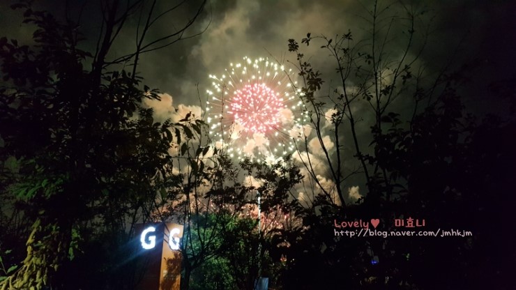  여의도 한강공원 서울세계불꽃축제 2019 다녀왔어요